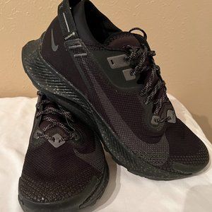 Nike Pegasus Trail 2 Gore-Tex
